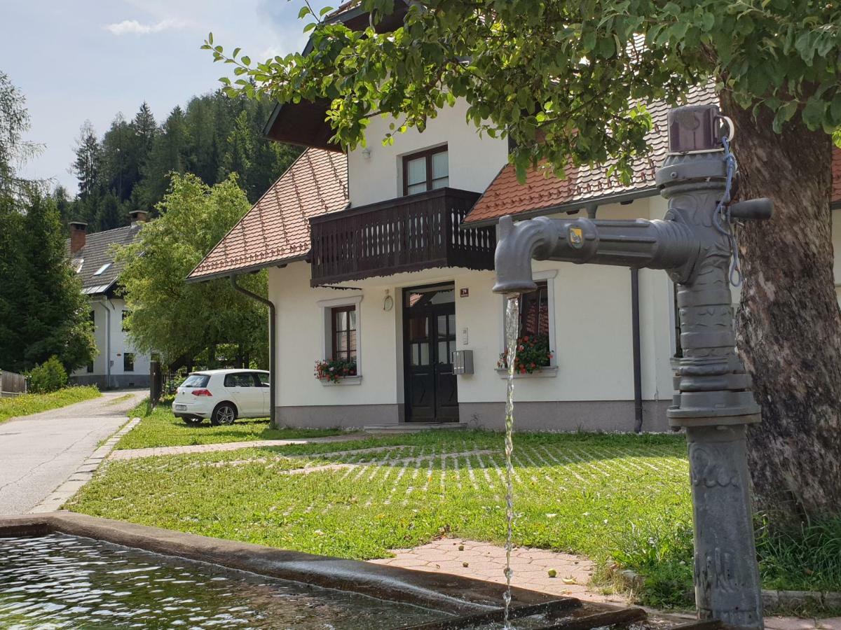 Apartman Irvin Kranjska Gora Kültér fotó